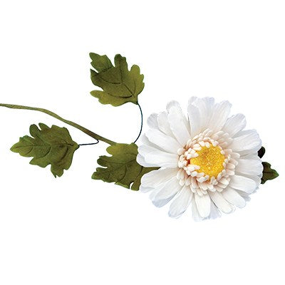Emporte-pièces 7 découpoirs  Chrysanthèmes, Marguerites et Feuille - Thermoplastique